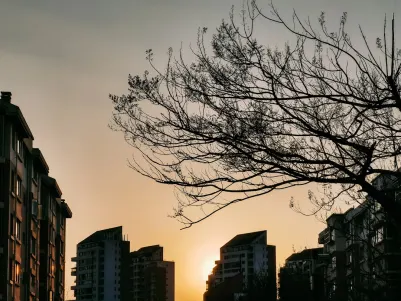 カジノ クレイズ プレイ モバイルアプリ